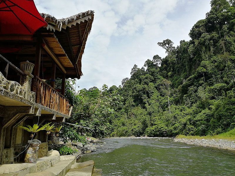 bukit lawang rio bahorok