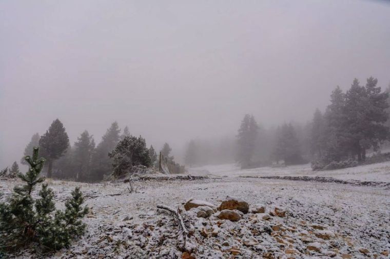 tuixent nieve
