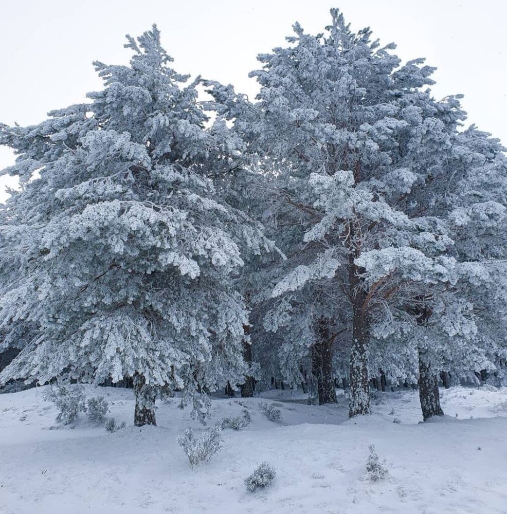 nieve cerca de madrid en Morcuera