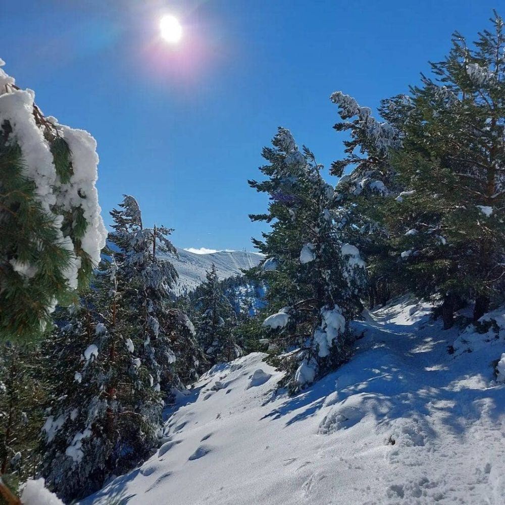 Nieve cerca de madrid en puerto de cotos