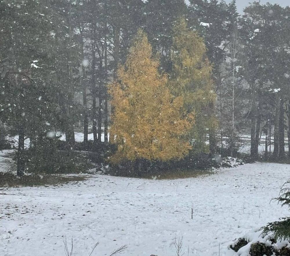 nieve cerca de madrid