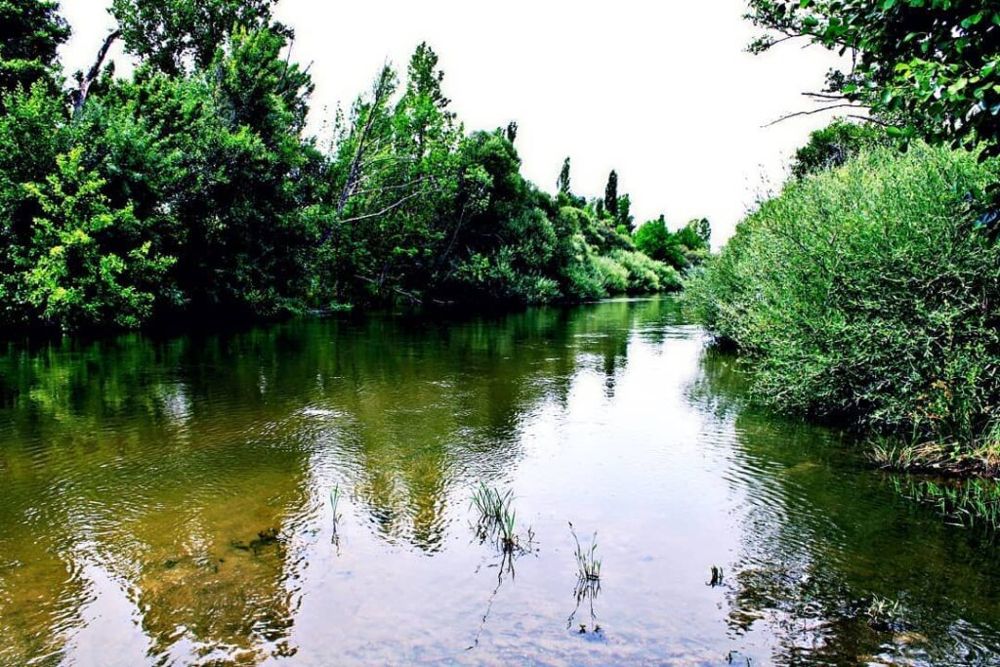 piscina alberche