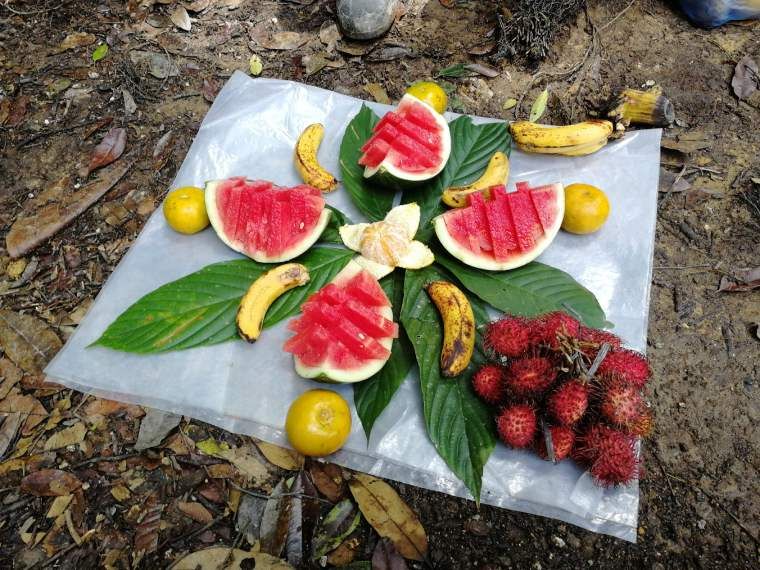 fruta en sumatra