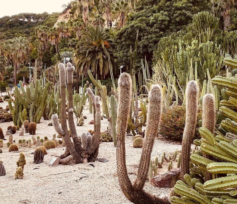 sitios para hacer fotos barcelona jardines