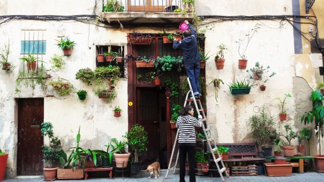 sitios para hacer fotos barcelona casa plantas