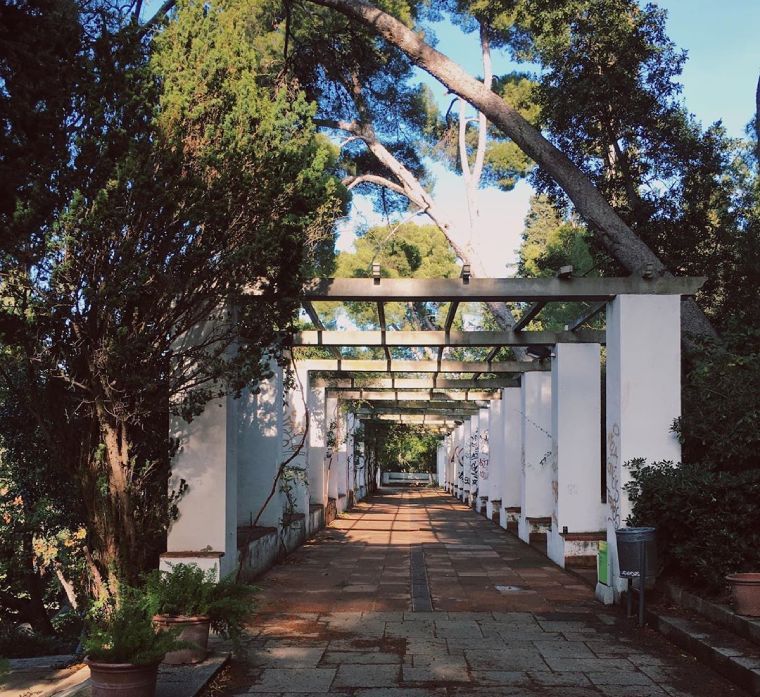 sitios para hacer fotos barcelona fotos