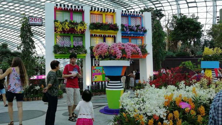 domo flower singapur